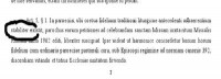 Apie &ldquo;nuotykius&rdquo; paskelbiant Summorum pontificum JAV